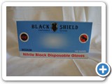 GVS_2