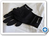 GVS_4